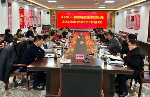 山東一滕集團(tuán)召開(kāi)2023年度醫(yī)藥系統(tǒng)述職工作會(huì)