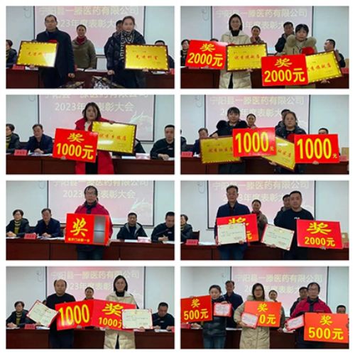 【同心同行 蓄勢(shì)聚力】寧陽(yáng)縣一滕醫(yī)藥有限公司2023年度總結(jié)表彰大會(huì)隆重召開